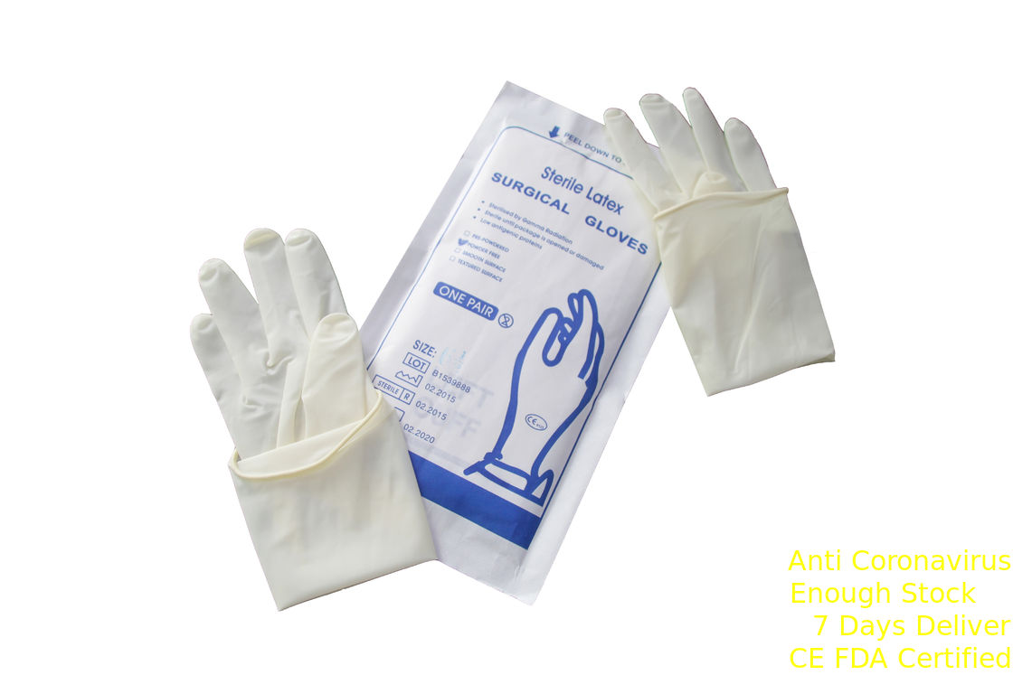 Latex-chirurgische Handschuhe pulverisieren Elementaroperation/Gamma-Sterilisation für Schutz fournisseur